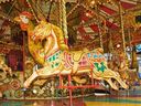 Horse named Philip